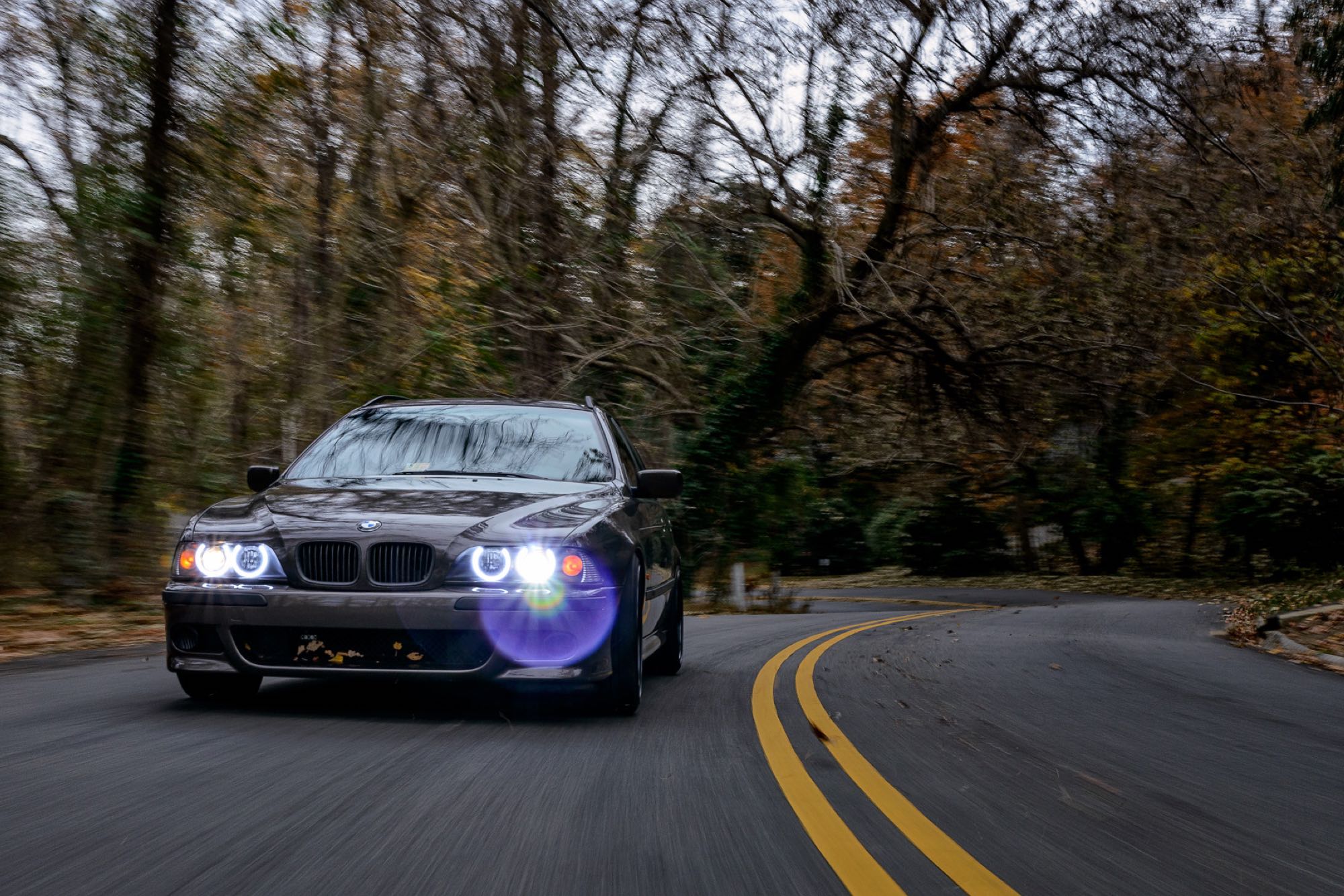 D1S: XB 5000K HID Bulbs (Pair) - product image 9